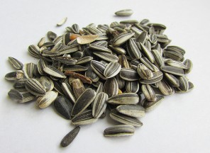 sunflower seeds for vitamin b12